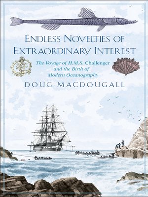 Endless Novelties of Extraordinary Interest - ebook